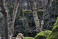 Bernhard Saalfeld - DSC05265 -1.jpg